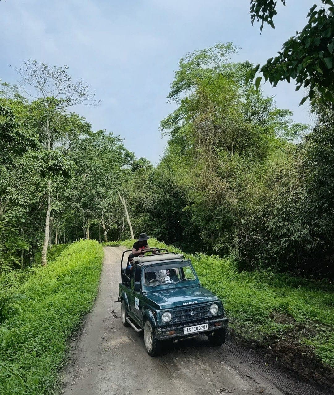 Kaziranga National Park